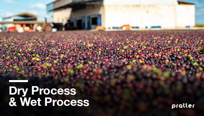 dry process and wet process coffee processing