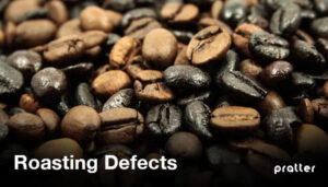 Coffee Roasting Defects